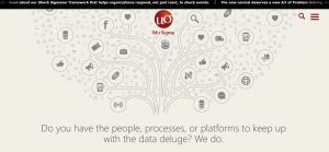 Mu Sigma Analytics