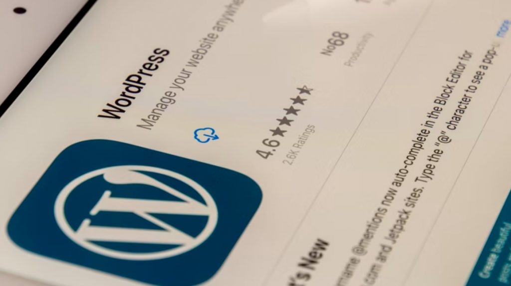 WordPress Consultancy & Training