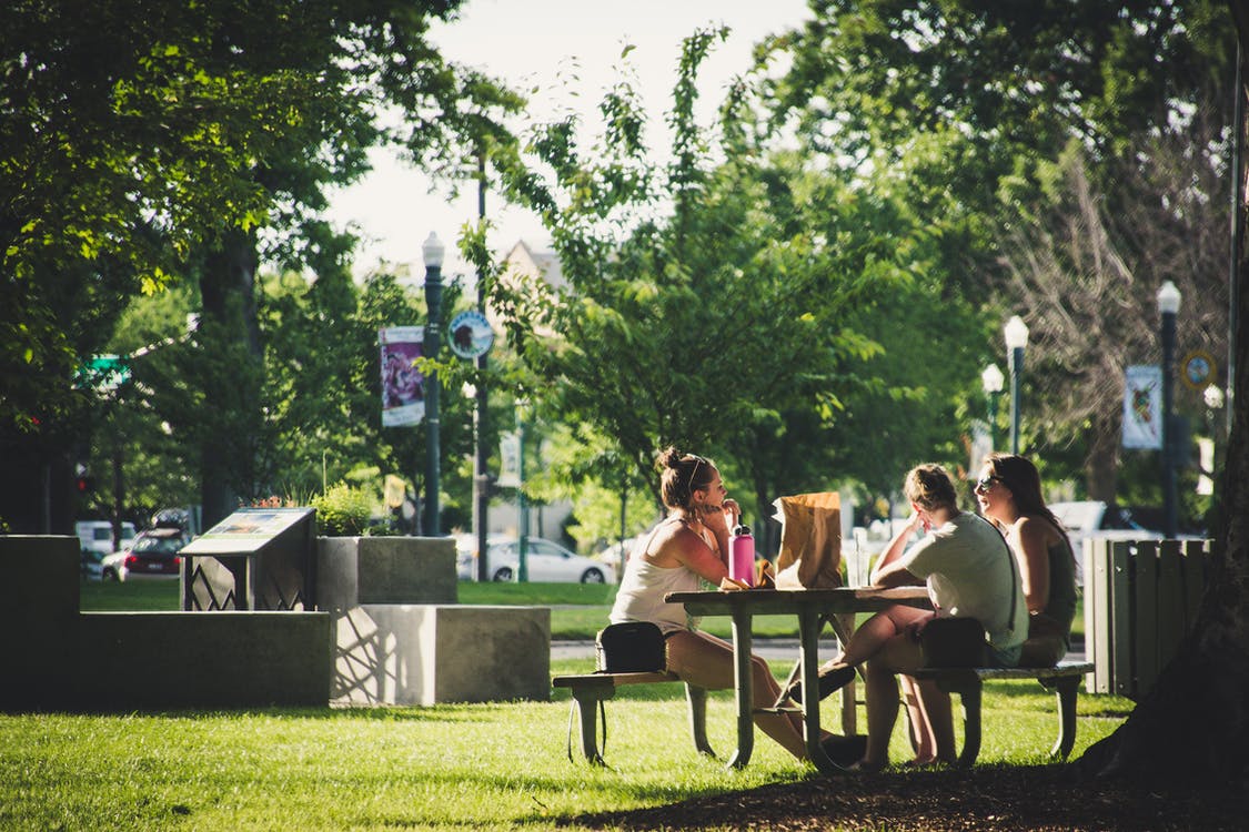 Different Types Of Parks In London