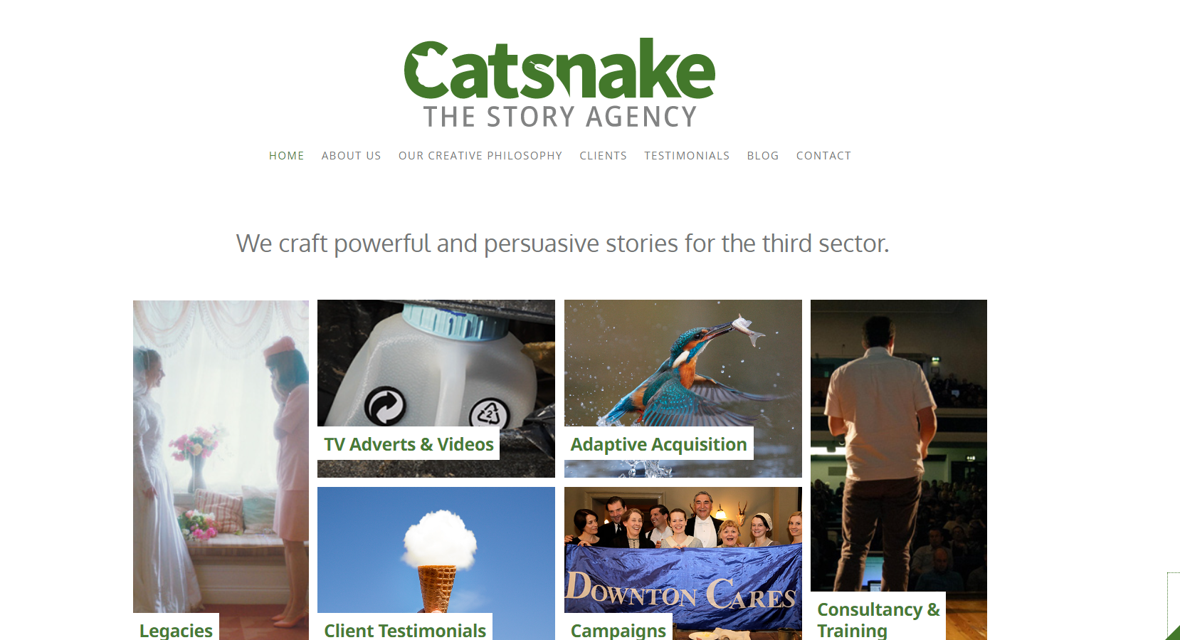 CatSnake
