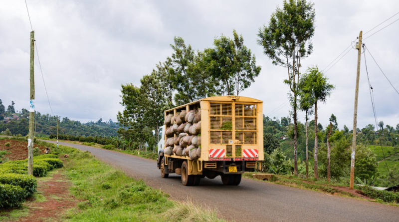 Haulage Companies
