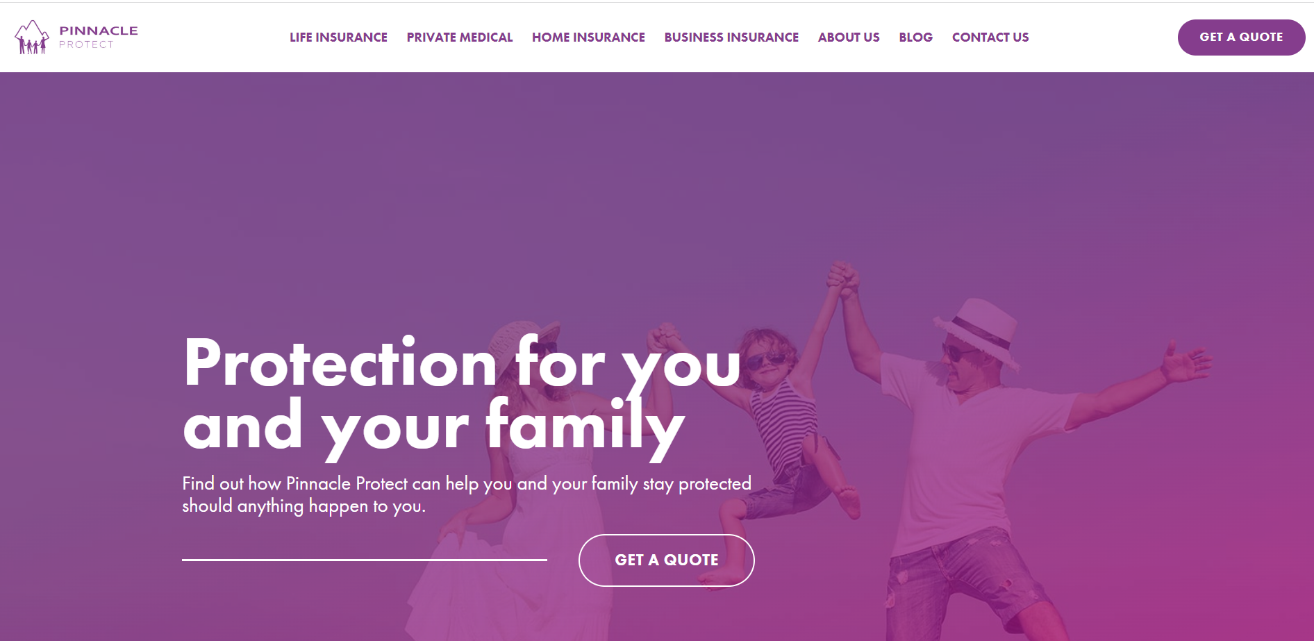 Pinnacle Protect Ltd