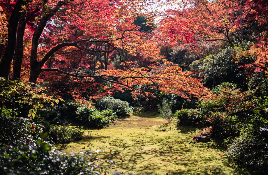 Arboretum