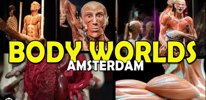 Body Worlds