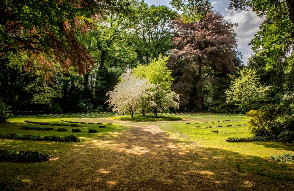 Botanic Gardens