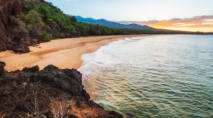 Brandy Cove