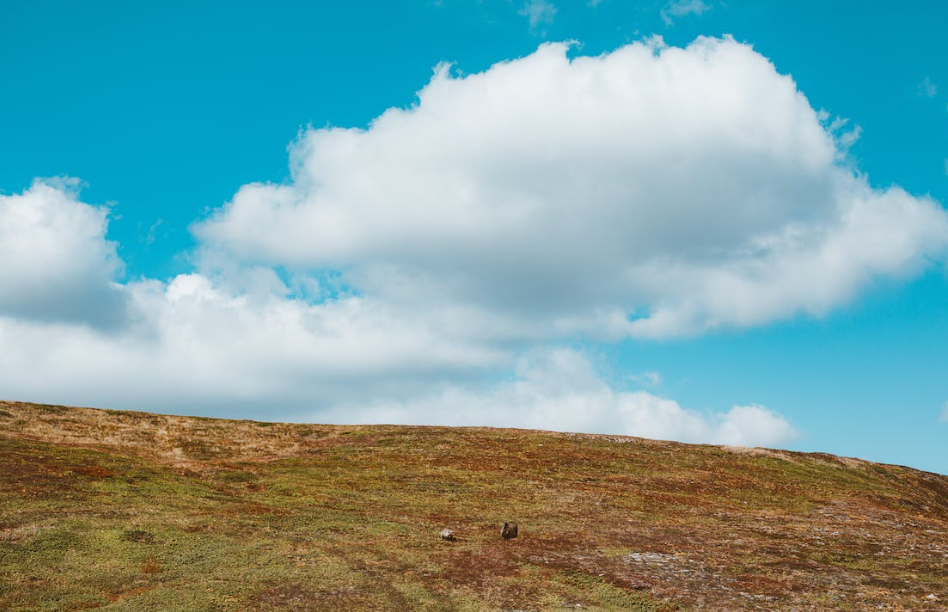Cave Hill Country Park