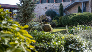 Clyne Gardens