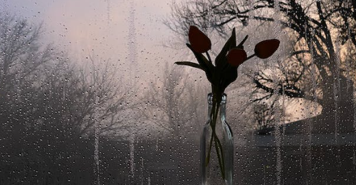 Gift of Glass