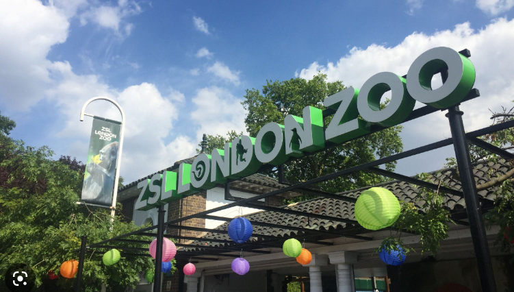 London zoo