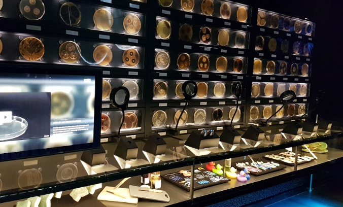Micropia