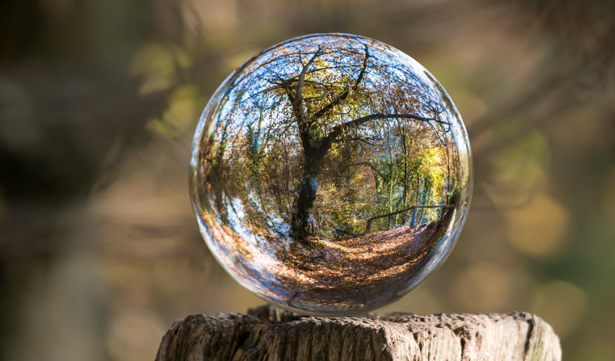Nature in Art