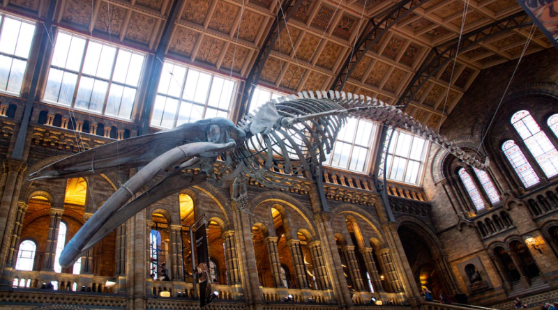 Quirky things to do in London