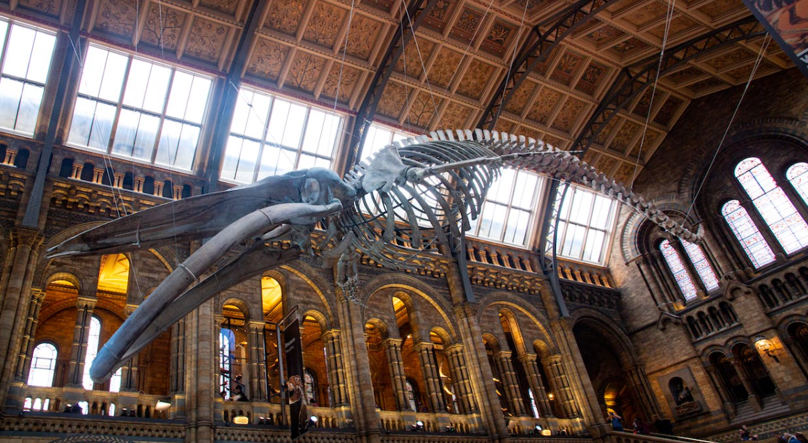 Top 10 Quirky things to do in London London Business Blog