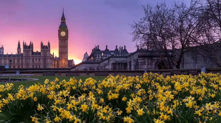 Soak up spring views