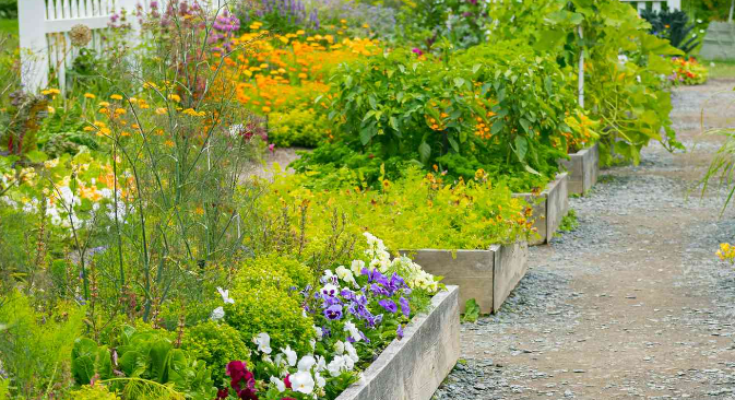 Start a Garden