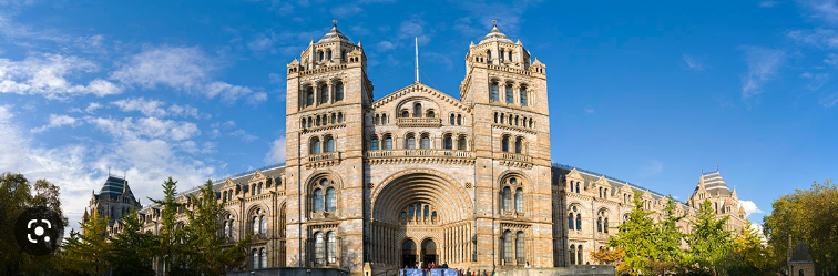 The Natural History Museum