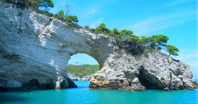 Things to do in Dubrovnik