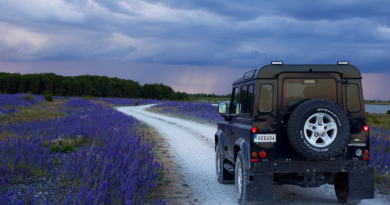 Things to do in the New Forest