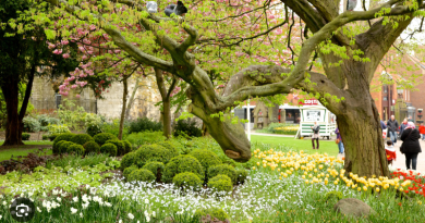 Top 10 Things to do in York