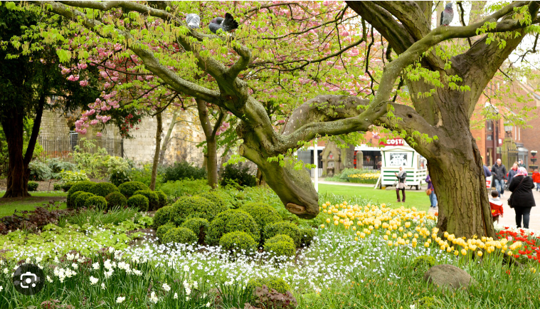 Top 10 Things to do in York