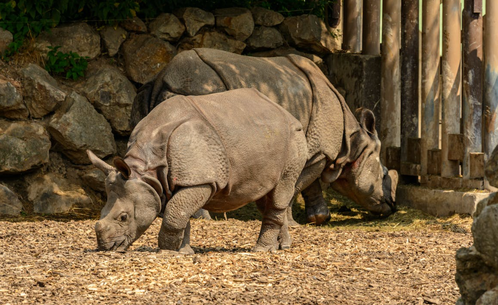 Zoo Santo Inacio