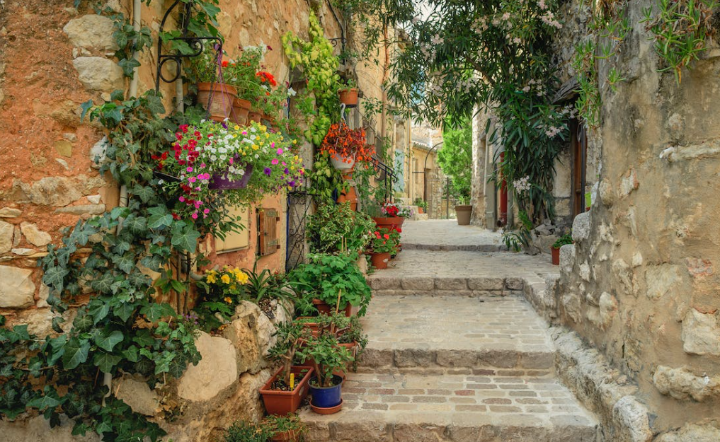 plaka