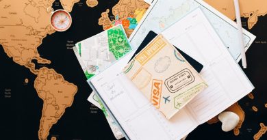 How the Skilled Worker Visa