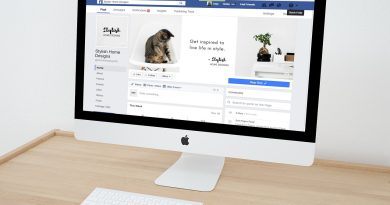 what is Web Hosting