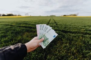 increase your income in London
