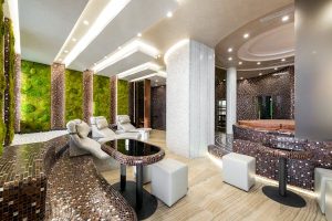 spa and wellness 
