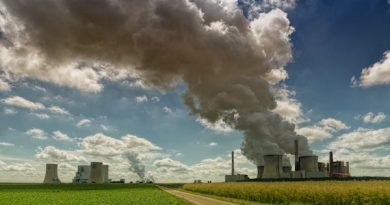 air pollution and respiratory health in London