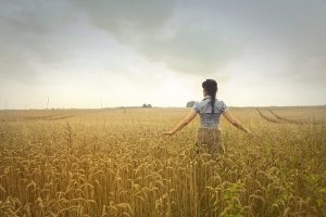 sowing seeds in agriculture