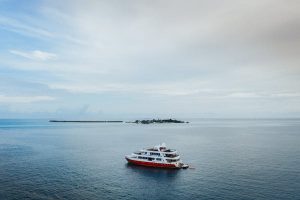 Deals on cheap cruises 
